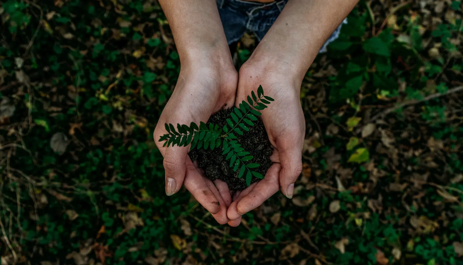 La moda dopo il covid è più green.